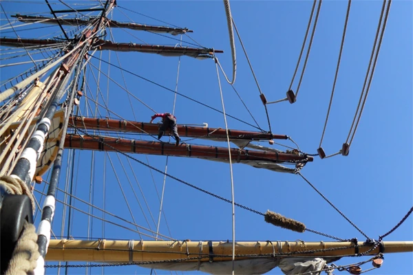 7 Surprising Facts You Might Not Know About Antennas