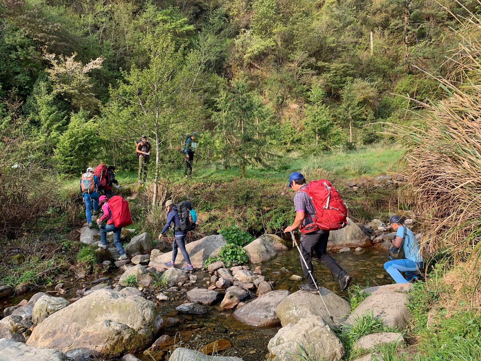 Climbing to New Heights, Never Stopping!